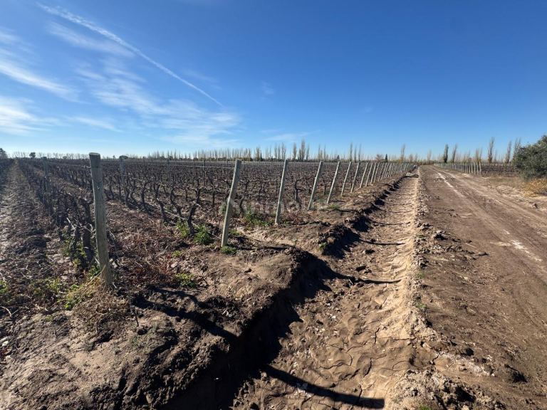 Finca en Venta en Guaymallen, Mendoza