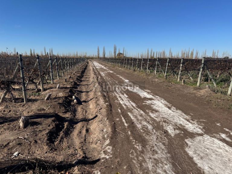 Finca en Venta en Guaymallen, Mendoza