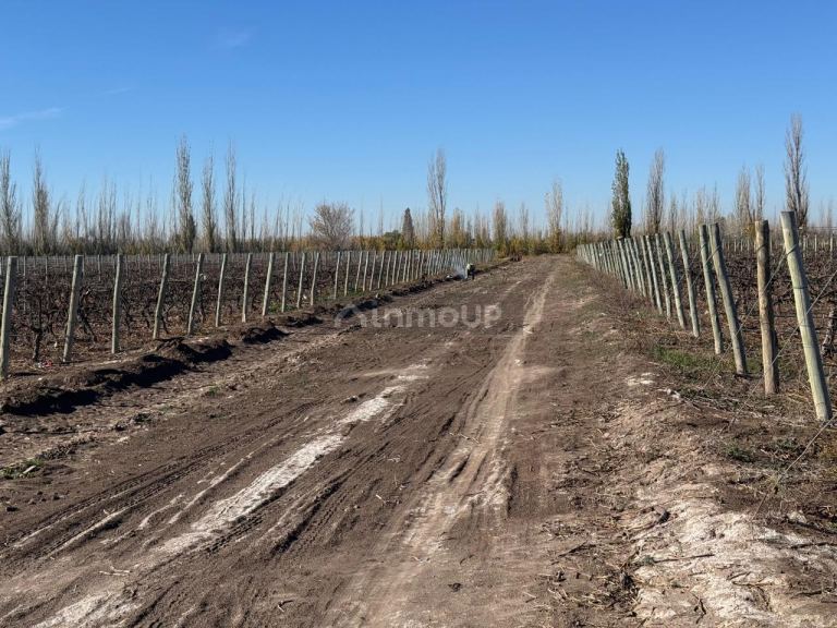 Finca en Venta en Guaymallen, Mendoza