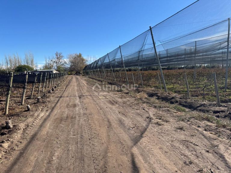 Finca en Venta en Guaymallen, Mendoza