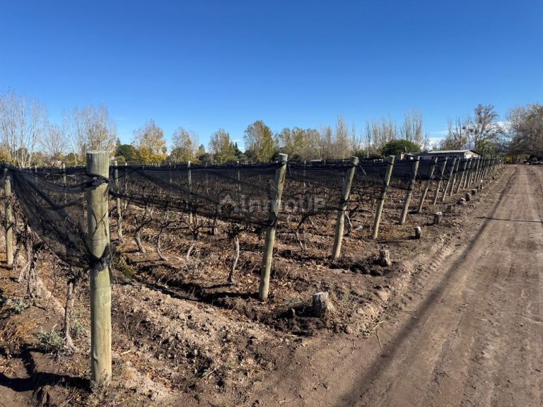 Finca en Venta en Guaymallen, Mendoza