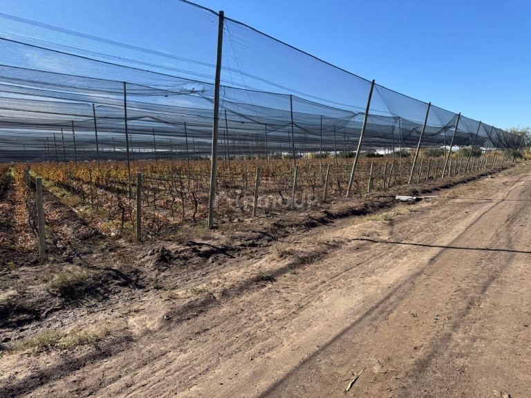 Finca en Venta en Guaymallen, Mendoza