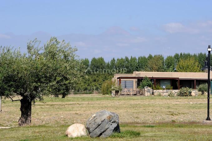 Lote en Venta en Tupungato, Mendoza