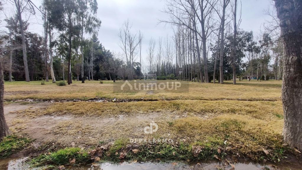 Terreno en Venta en Maipu, Mendoza