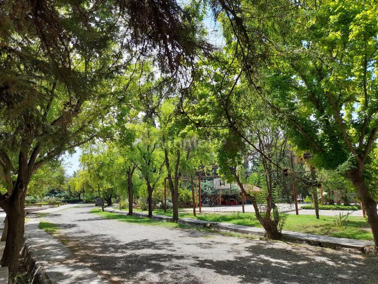 Terreno en Venta en Maipu, Mendoza