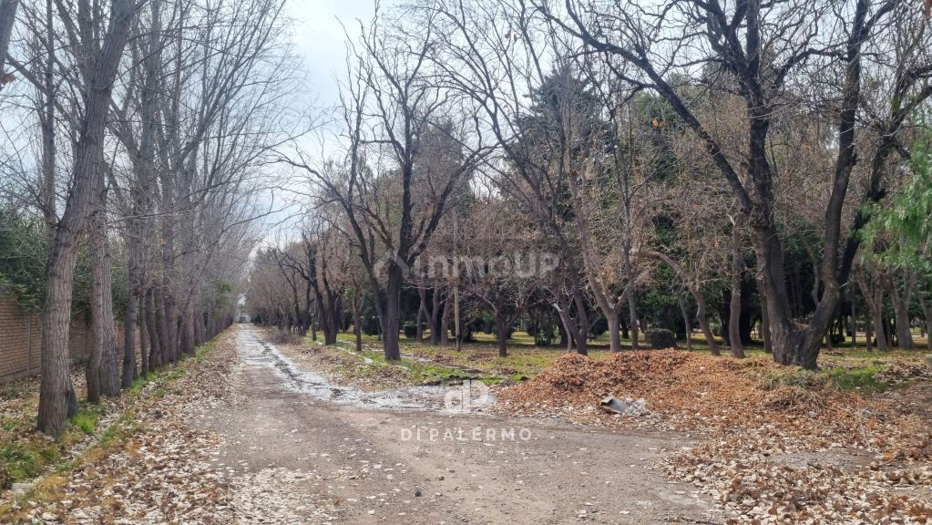 Terreno en Venta en Maipu, Mendoza