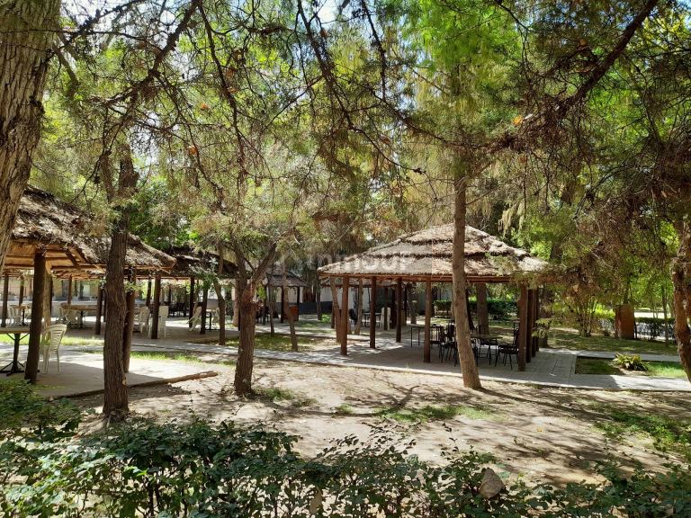 Terreno en Venta en Maipu, Mendoza