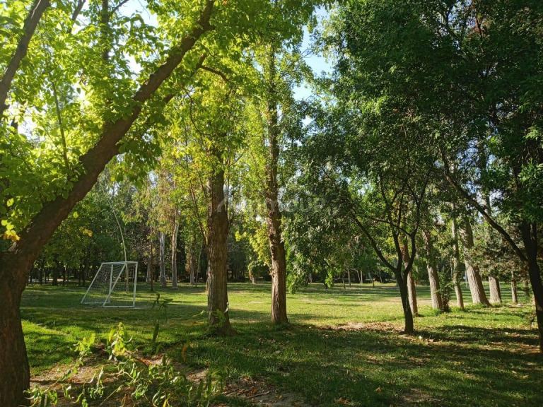 Terreno en Venta en Maipu, Mendoza