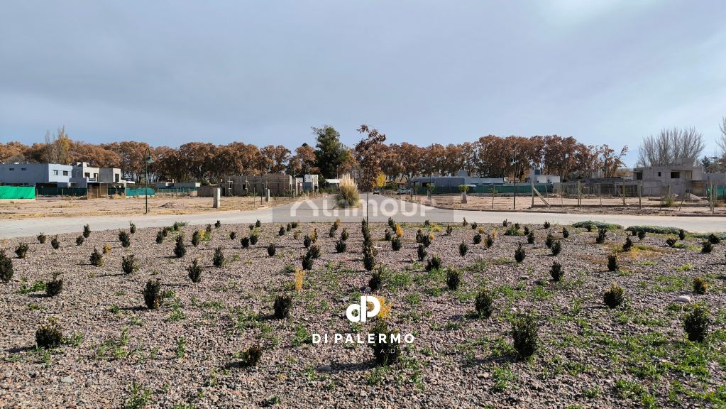 Terreno en Venta en Lujan de Cuyo, Mendoza