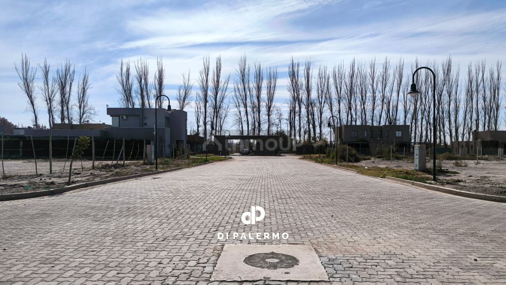 Terreno en Venta en Lujan de Cuyo, Mendoza