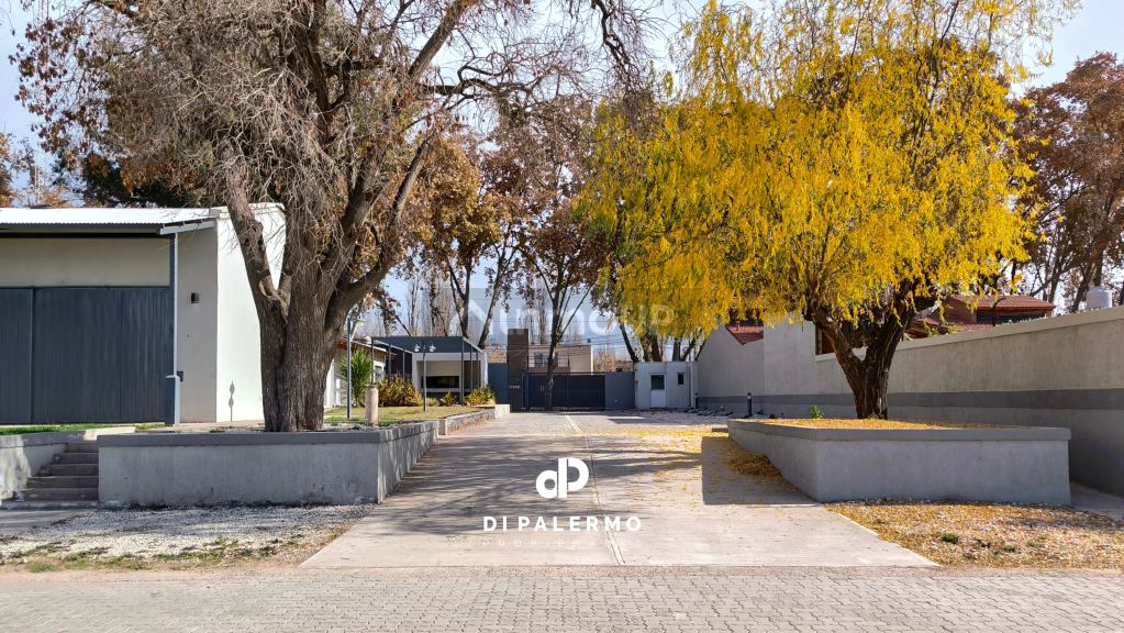 Terreno en Venta en Lujan de Cuyo, Mendoza