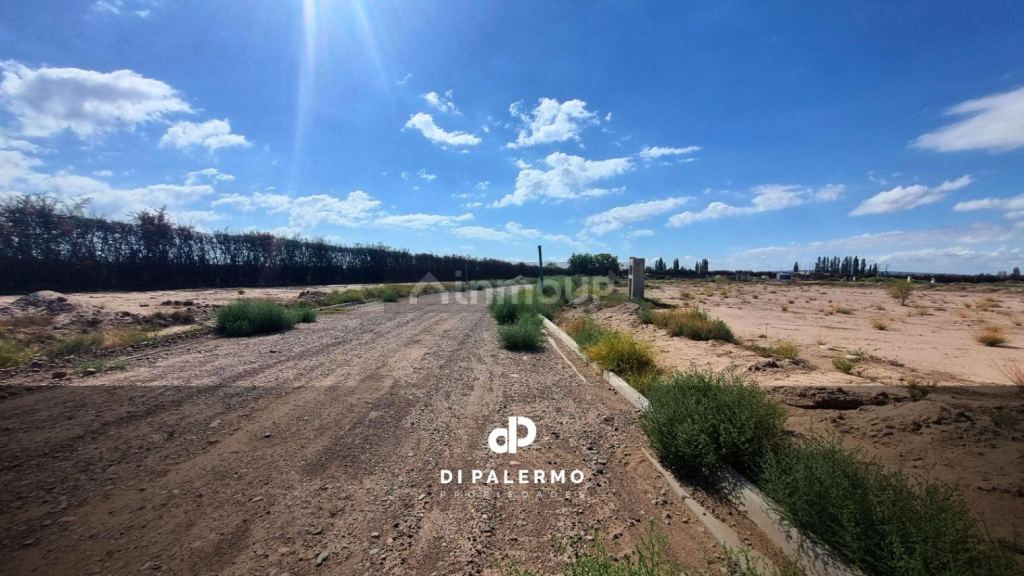Terreno en Venta en Lujan de Cuyo, Mendoza