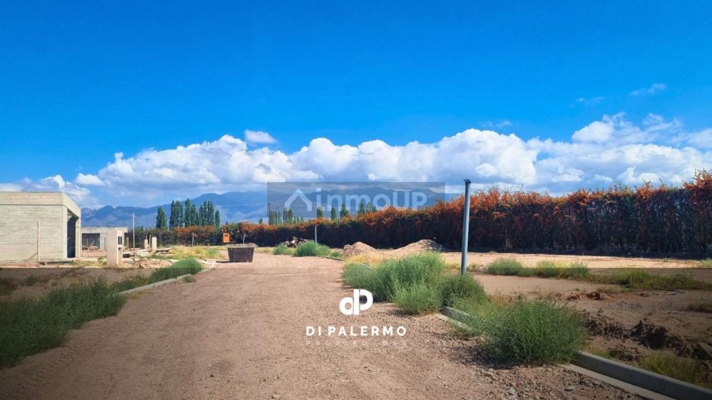 Terreno en Venta en Lujan de Cuyo, Mendoza