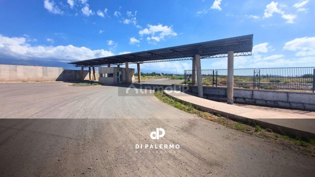 Terreno en Venta en Lujan de Cuyo, Mendoza