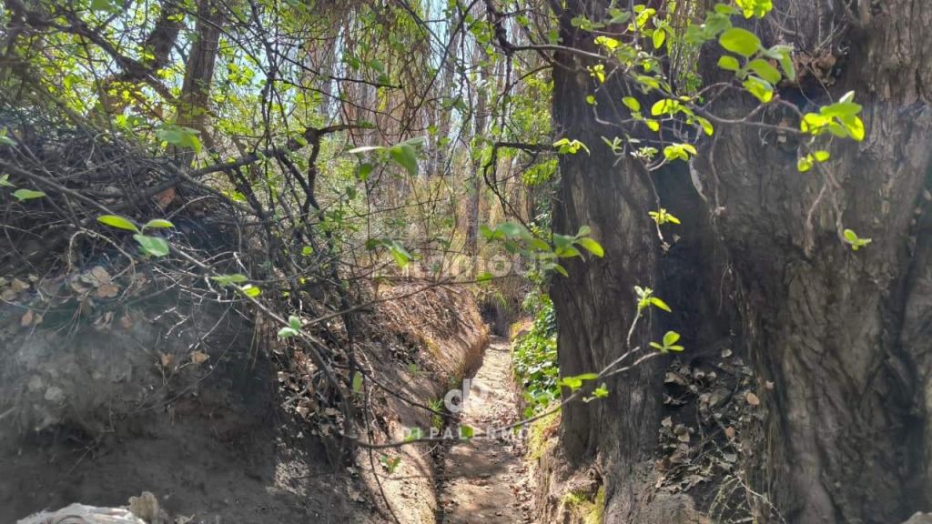 Terreno en Venta en Lujan de Cuyo, Mendoza