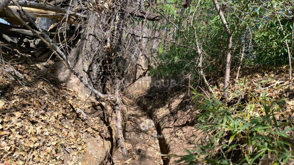 Terreno en Venta en Lujan de Cuyo, Mendoza