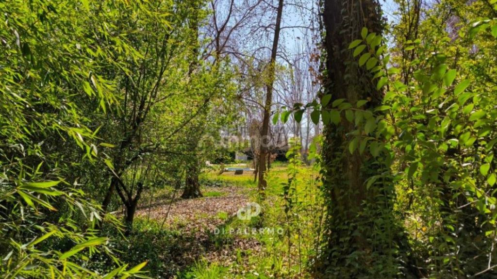 Terreno en Venta en Lujan de Cuyo, Mendoza