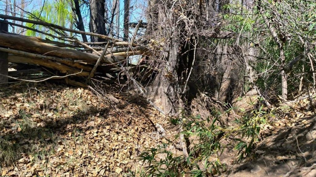 Terreno en Venta en Lujan de Cuyo, Mendoza