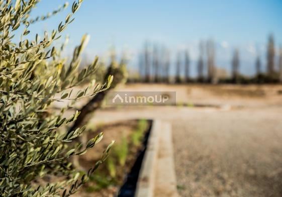 Terreno en Venta en Lujan de Cuyo, Mendoza