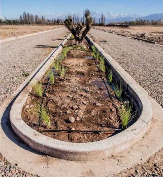 Terreno en Venta en Lujan de Cuyo, Mendoza