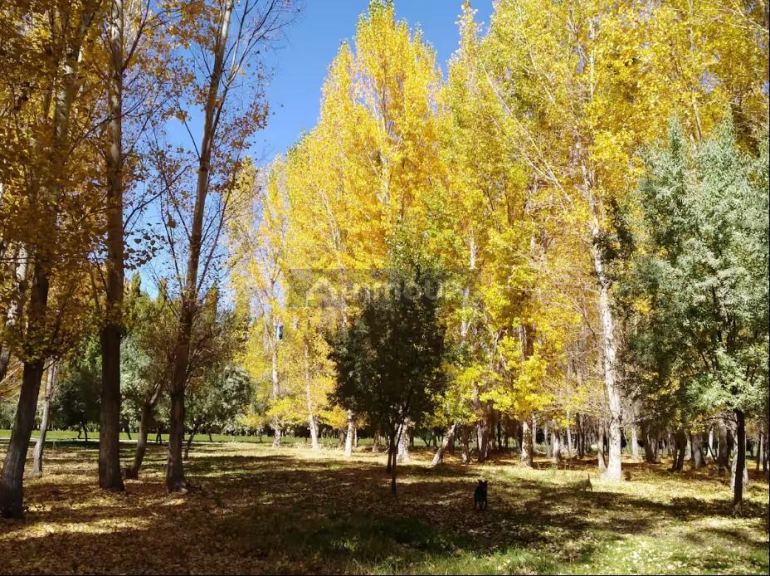 Terreno en Venta en Las Heras, Mendoza
