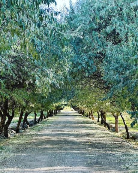 Terreno en Venta en Las Heras, Mendoza