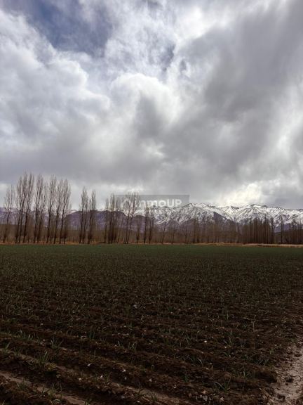 Terreno en Venta en Las Heras, Mendoza