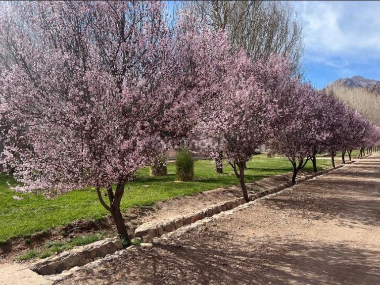 Terreno en Venta en Las Heras, Mendoza