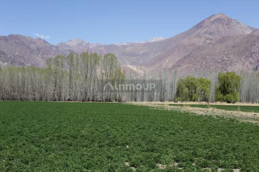 Terreno en Venta en Las Heras, Mendoza