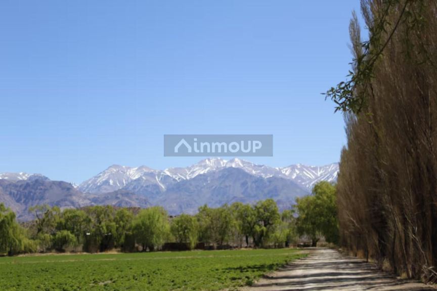 Terreno en Venta en Las Heras, Mendoza