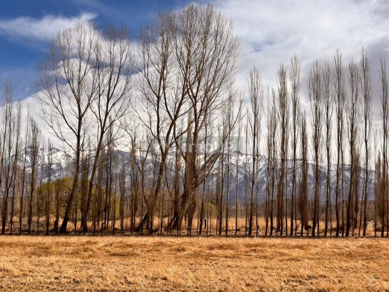 Terreno en Venta en Las Heras, Mendoza