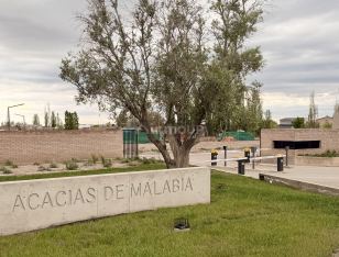Lujan de Cuyo https://maps.app.goo.gl/bWriLkYfxfCTmxaSA?g_st=ipc