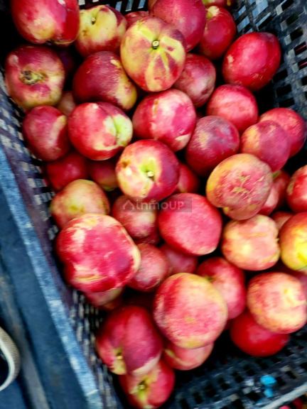 Finca en Venta en Lujan de Cuyo, Mendoza