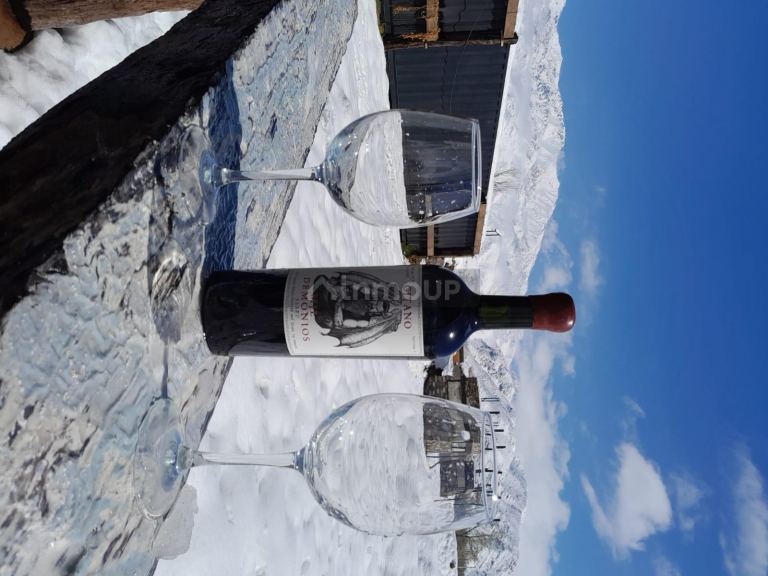 Fondo de Comercio en Venta en Tunuyan, Mendoza