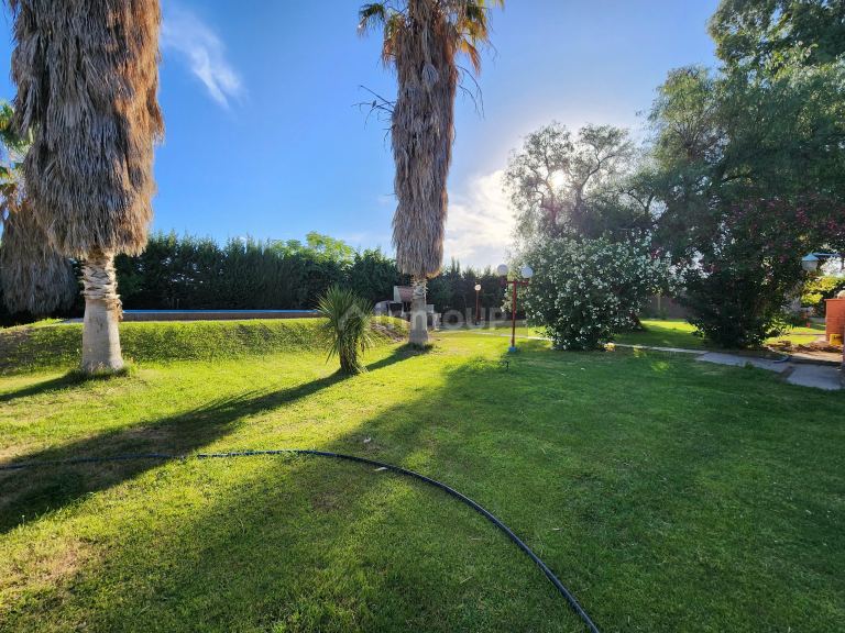 Viñedo en Venta en Maipu, Mendoza