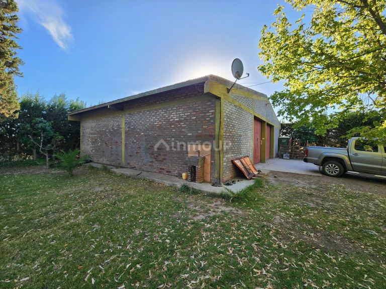 Viñedo en Venta en Maipu, Mendoza
