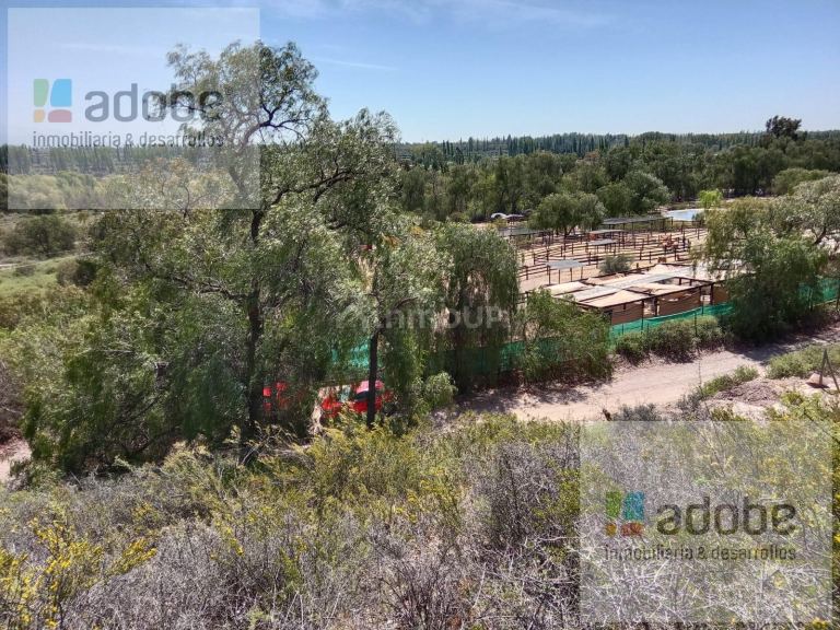 Finca en Venta en Lujan de Cuyo, Mendoza