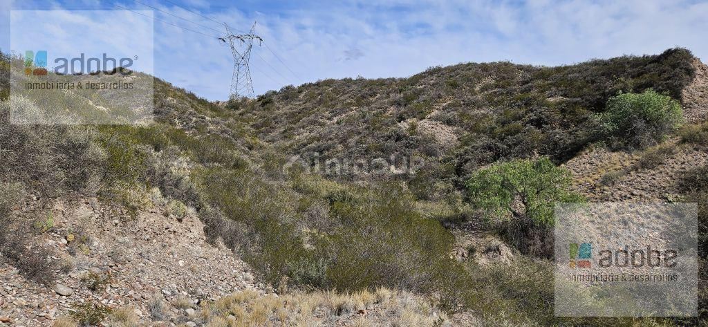 Finca en Venta en Lujan de Cuyo, Mendoza