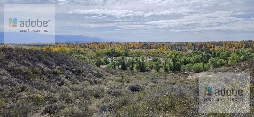 Finca en Venta en Lujan de Cuyo, Mendoza