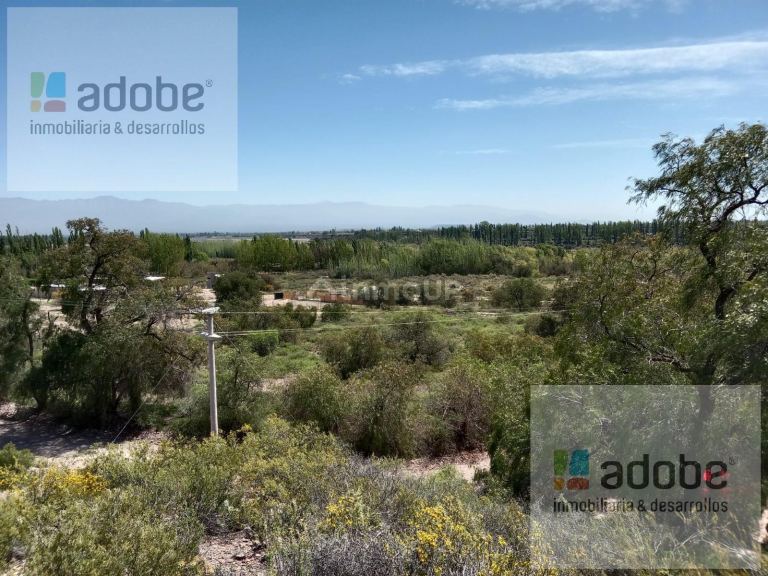 Finca en Venta en Lujan de Cuyo, Mendoza