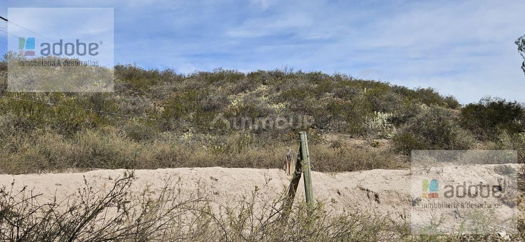 Finca en Venta en Lujan de Cuyo, Mendoza