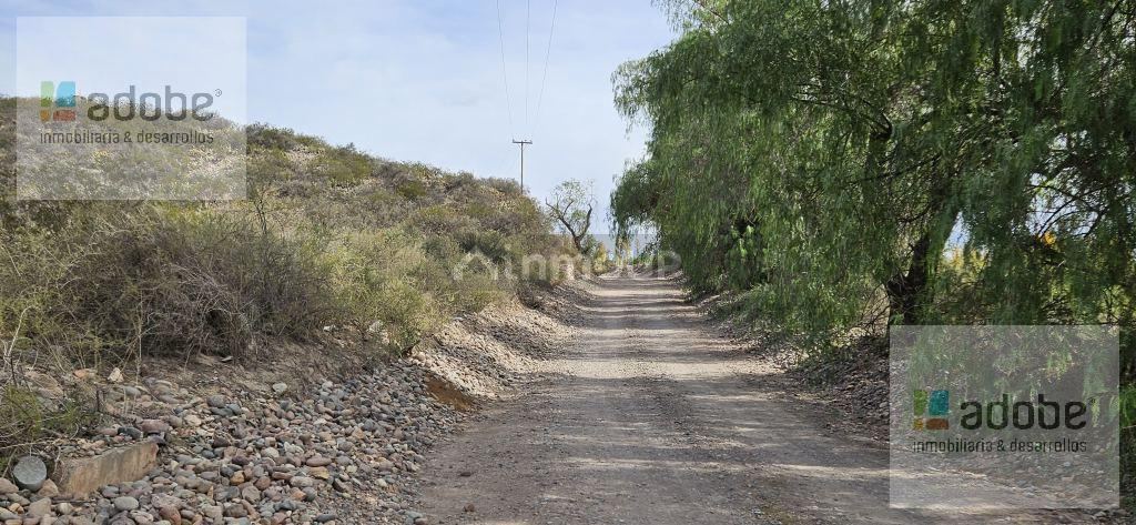 Finca en Venta en Lujan de Cuyo, Mendoza