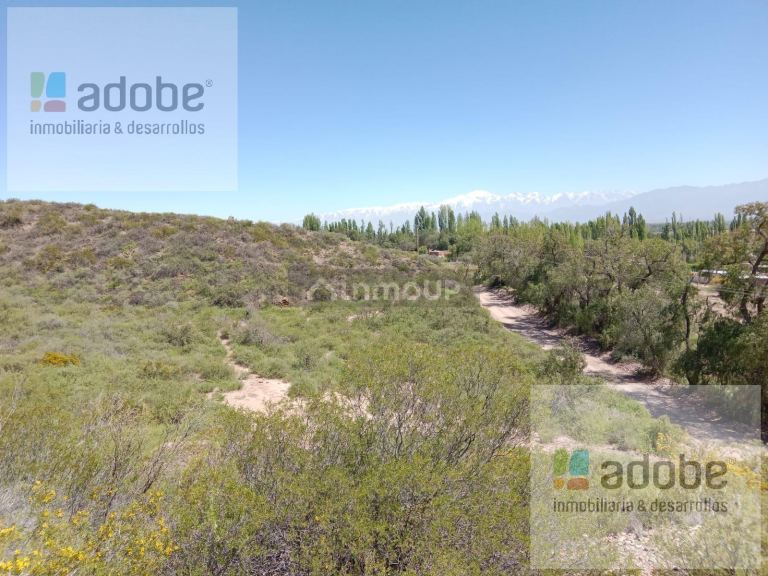 Finca en Venta en Lujan de Cuyo, Mendoza