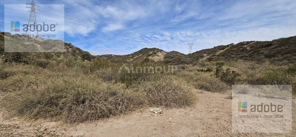 Finca en Venta en Lujan de Cuyo, Mendoza