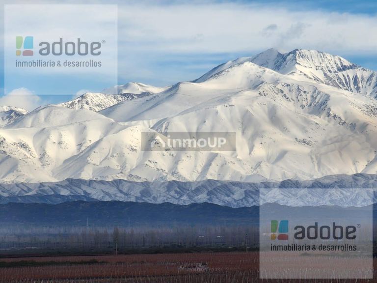 Finca en Venta en Lujan de Cuyo, Mendoza
