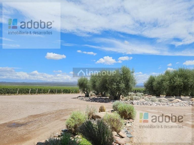 Finca en Venta en Lujan de Cuyo, Mendoza