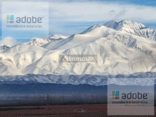Lujan de Cuyo Ruta 86, Alto Agrelo, Luján de Cuyo