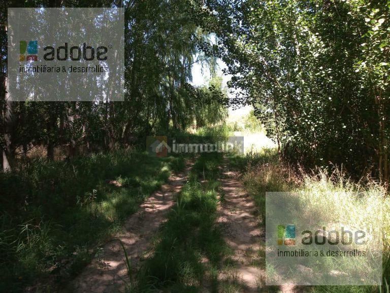 Finca en Venta en Lujan de Cuyo, Mendoza
