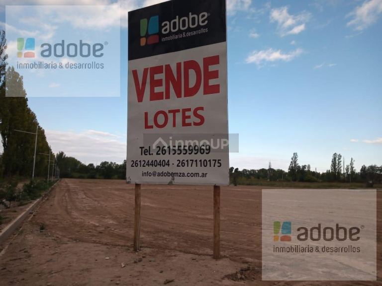 Terreno en Venta en Lujan de Cuyo, Mendoza