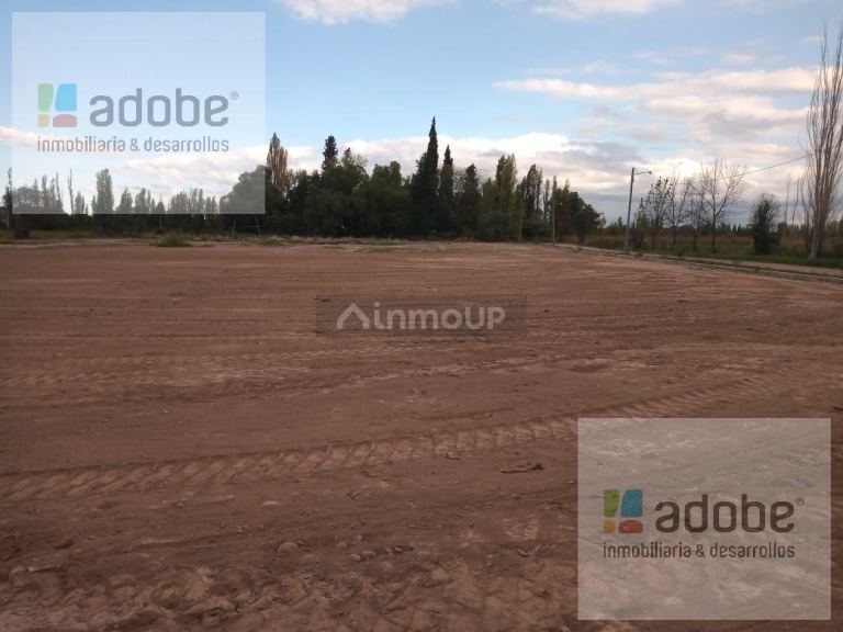 Terreno en Venta en Lujan de Cuyo, Mendoza